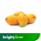 brightfarms Anwar Ratol Mango 500g