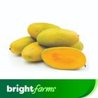brightfarms Dusehri Mango Yellow 500g