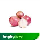 brightfarms Red Onion Pyaz Bag 2kg