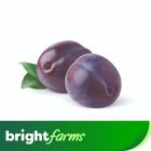 brightfarms Purple Plum Alubukhara 250g