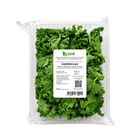 RTE Salad - Chopped Kale 100g