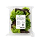 RTE Salad - Sweet Baby Lettuces 100g