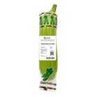 Korean King Zucchini 300g