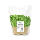 Baby Lollo Lettuce - Salanova 1pcs