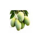 Amana Premium Amrapali Mango 10Kg