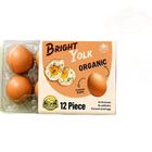 HNS FARMS Bright Yolk Organic Eggs 12 Pieces
