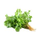 Lotus's Daun Ketumbar Cameron 100g