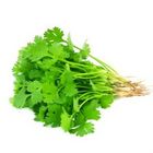 Unimart Coriander Leaf