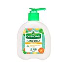 Green Cross Citrus Clean Antibacterial Hand Soap Pump 225ml