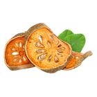 Bael Fruits - zgei-4 0.5kg