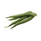 Ridge Gourd - 202 0.3kg