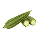 Ridge Gourd India - zgei-122 0.3kg
