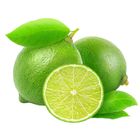Seedless Lime Vietnam - zgei-132 0.2kg