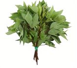Gongura Leaves 0.1kg
