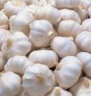 PS White Garlic 500g